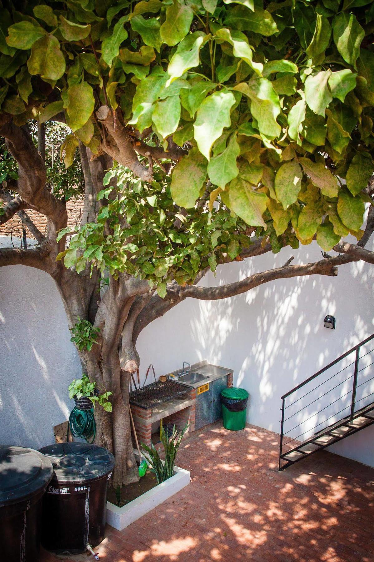 Ocean Lovers Hostel & Apartments Taganga Eksteriør billede